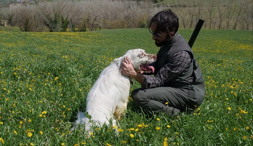 ELEZIONI: ANCORA SUI 5 STELLE E LA CACCIA